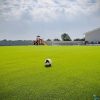 Al Remal Farm & Resort