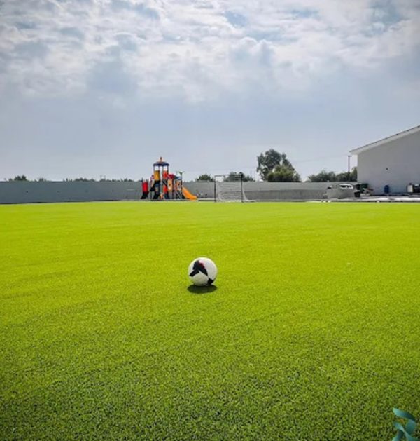 al-remal-2 Al Remal Farm & Resort