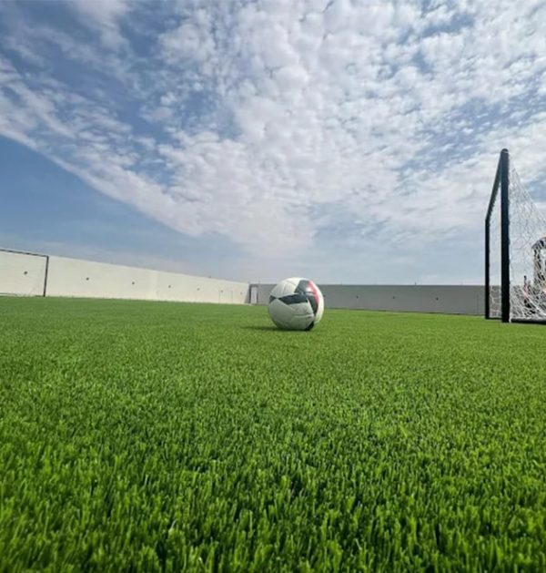 al-remal-field Al Remal Farm & Resort
