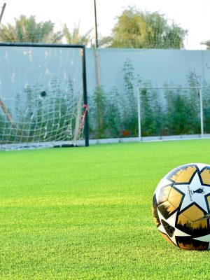 Al Remal Farm & Resort